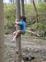 Maverick is a Treeclimber