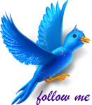 twitterbird