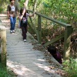 Who's that trip-trapping over my bridge?