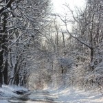 snowy road