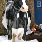 milking_the_cow