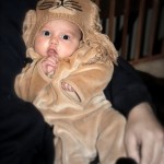 lion costume
