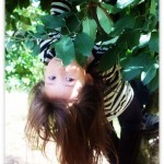 climbing trees