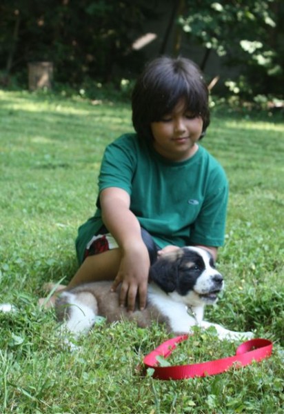 boy with puppy