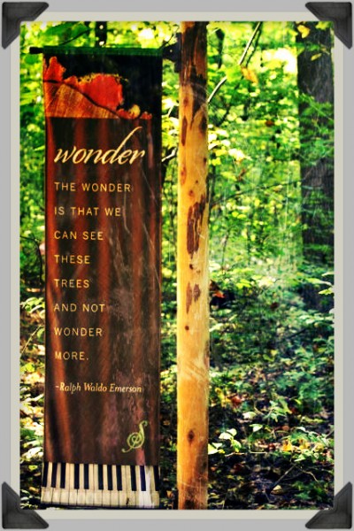 wonder emerson quote trees