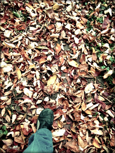 walking in fallen leaves