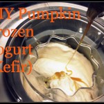 pumpkin frozen yogurt