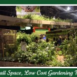small space low cost gardening