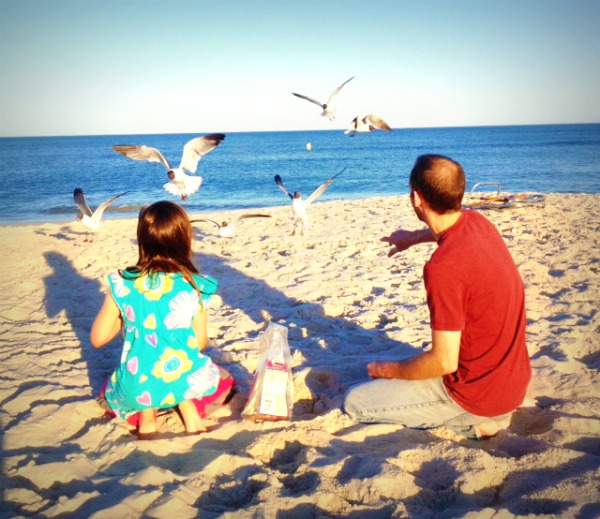 feeding birds on beach