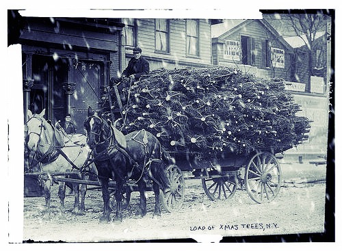 vintage picture Christmas trees