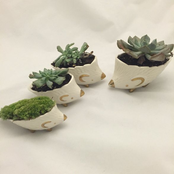 ceramic planters