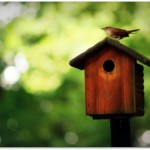 wren-birdhouse