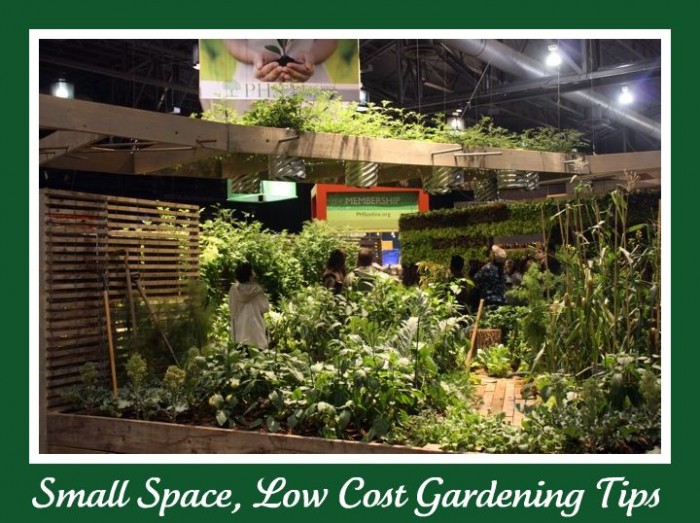 small space low cost gardening
