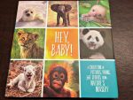 Book Review: Hey, Baby! A Collection of Pictures, Poems, and Stories from Nature’s Nursery